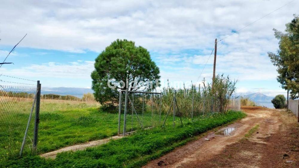 Κυρίως Χώρος