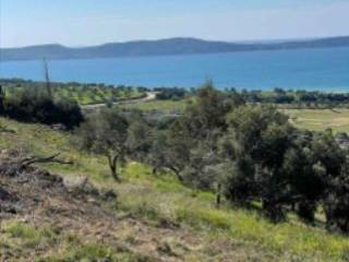 Παραθαλάσσιο οικόπεδο XD Development Μεσιτικό Γραφείο Πύλος