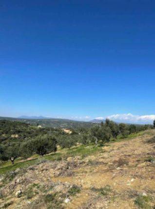 Παραθαλάσσιο οικόπεδο XD Development Μεσιτικό Γραφείο Πύλος