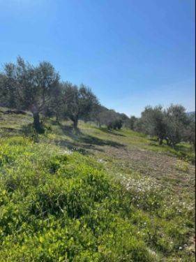 Παραθαλάσσιο οικόπεδο XD Development Μεσιτικό Γραφείο Πύλος