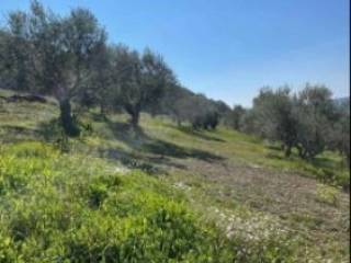 Παραθαλάσσιο οικόπεδο XD Development Μεσιτικό Γραφείο Πύλος