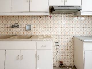 Leptomereia koyzinas.