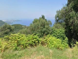 Plot - Grekodom 65288|1044167