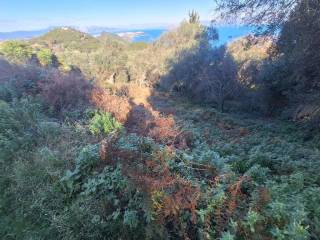 Plot - Grekodom 65288|1044168