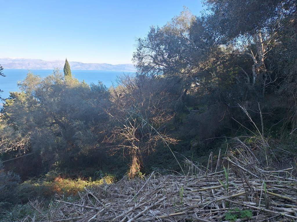 Plot - Grekodom 65288|1044164