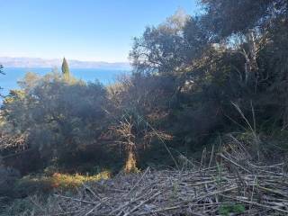 Plot - Grekodom 65288|1044164