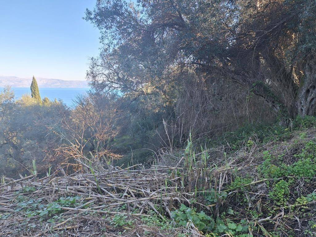 Plot - Grekodom 65288|1044163