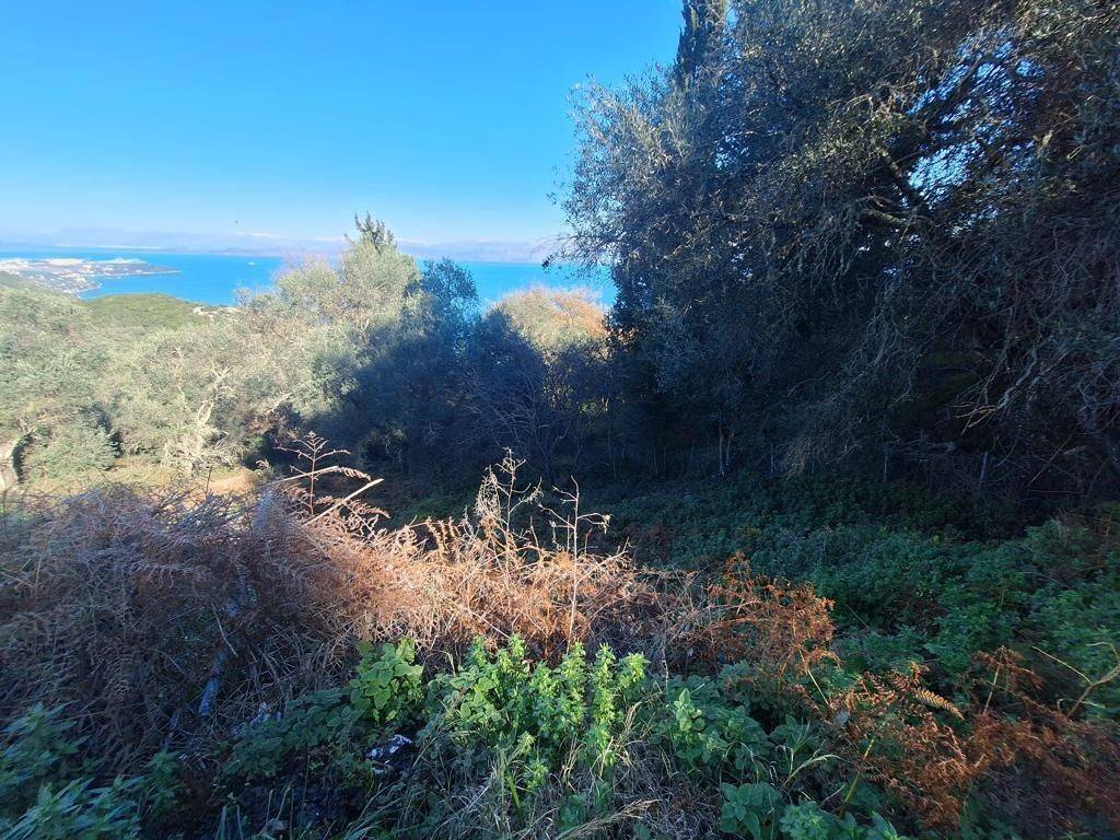 Plot - Grekodom 65288|1044166