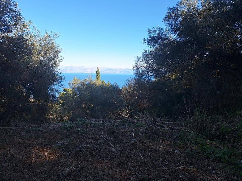 Plot - Grekodom 65288|1044165