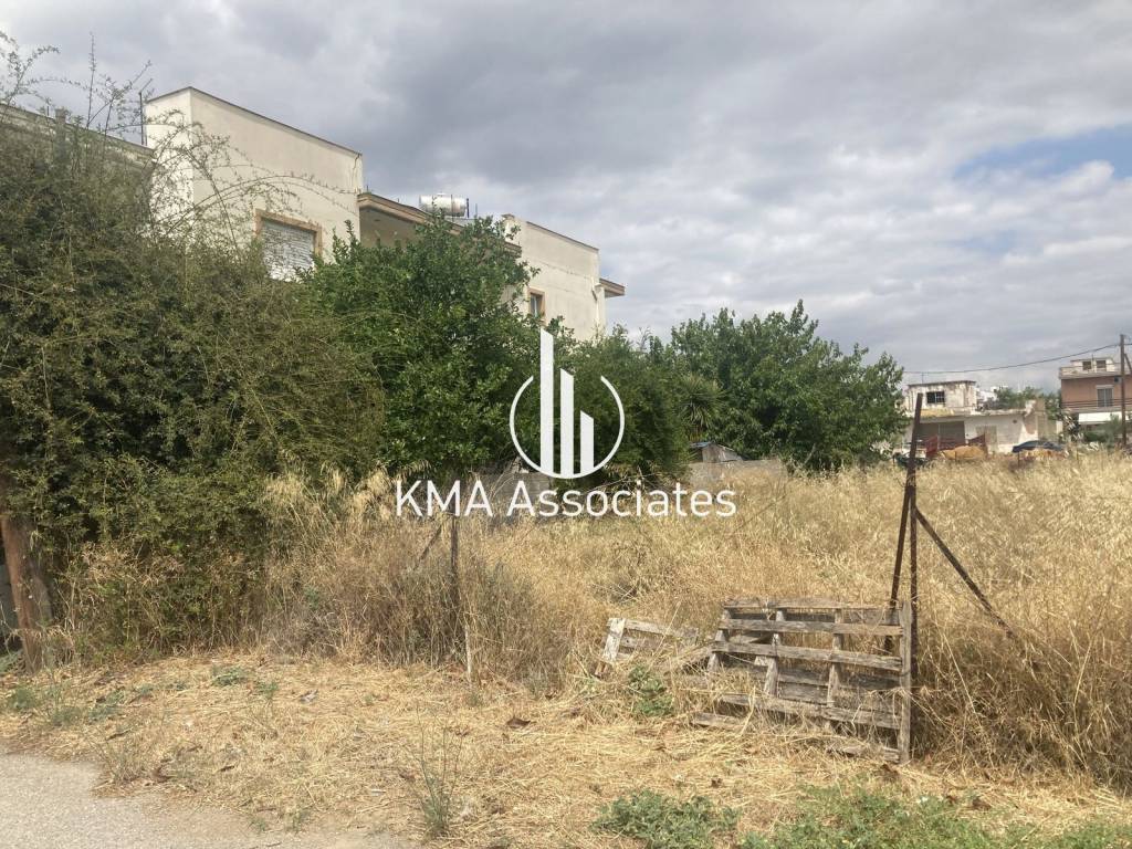 Εξωτερικοι χώροι