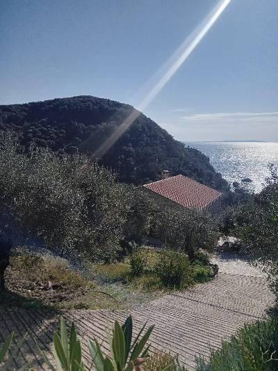 epiklenes me tetragonismeno agrotemachio 
222 metra apo ten th