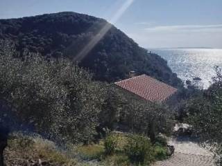 epiklenes me tetragonismeno agrotemachio 
222 metra apo ten th