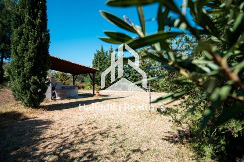 Εξωτερικός χώρος