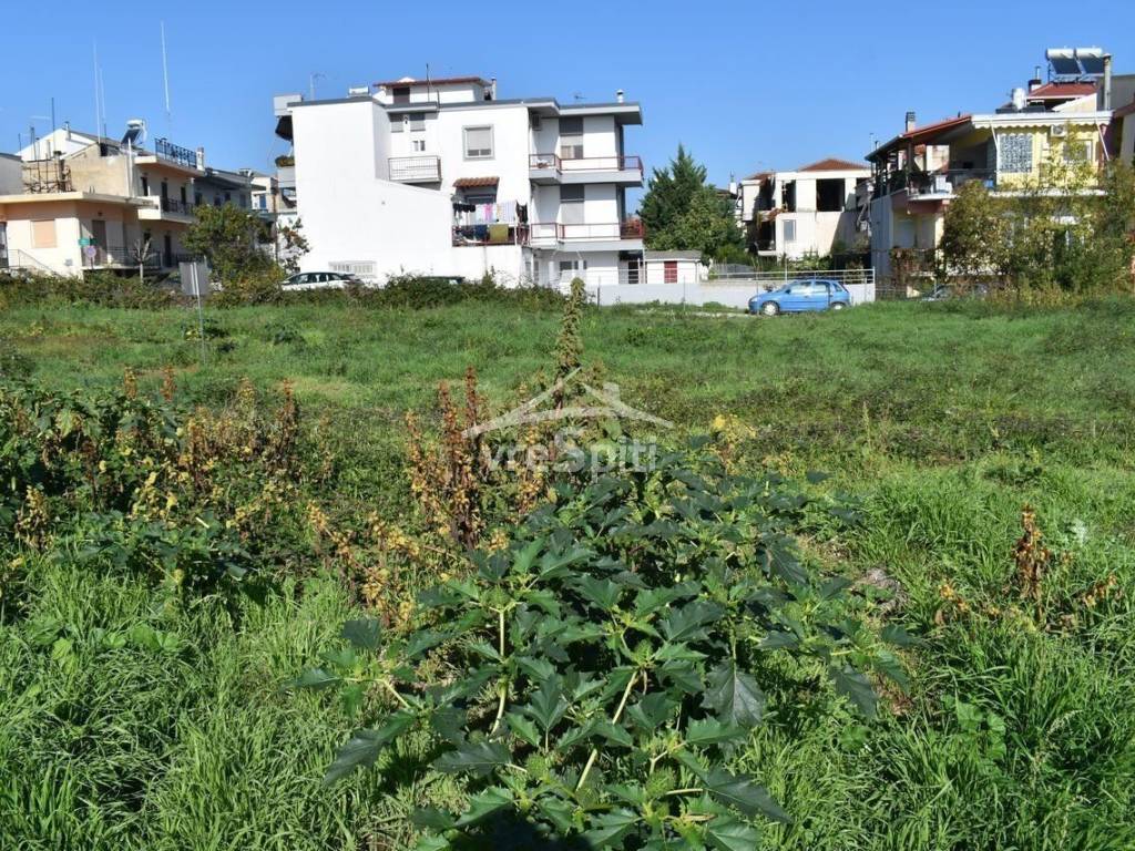 Φωτογραφίες οικοπέδου.