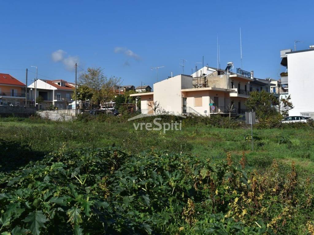 Φωτογραφίες οικοπέδου.