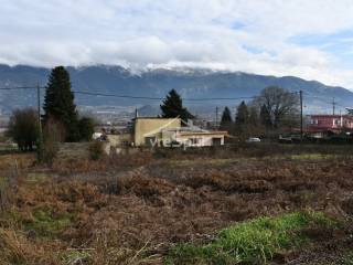 ΑΠΟΨΗ ΟΙΚΟΠΕΔΟΥ