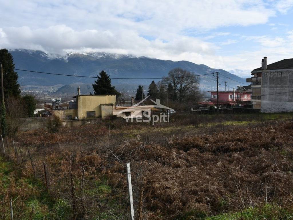 ΑΠΟΨΗ ΟΙΚΟΠΕΔΟΥ