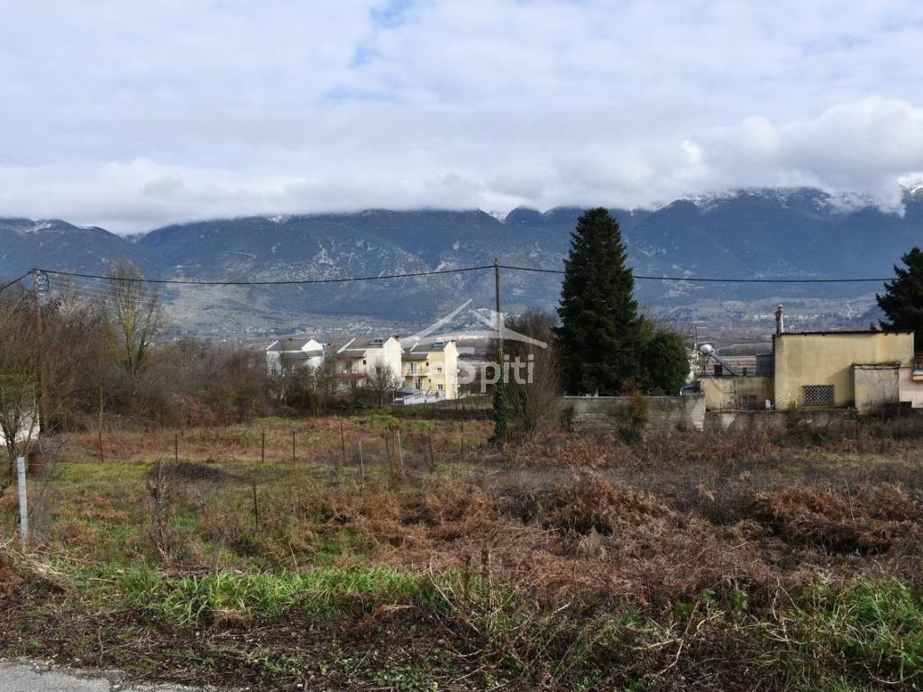 ΑΠΟΨΗ ΟΙΚΟΠΕΔΟΥ