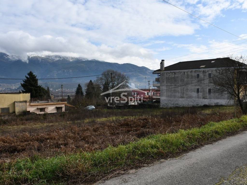 ΑΠΟΨΗ ΟΙΚΟΠΕΔΟΥ