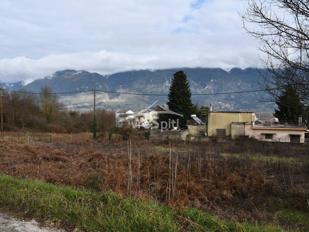 ΑΠΟΨΗ ΟΙΚΟΠΕΔΟΥ