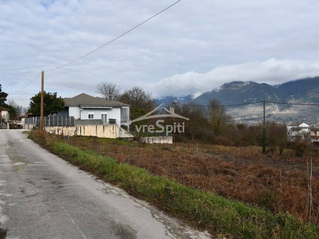 ΑΠΟΨΗ ΟΙΚΟΠΕΔΟΥ