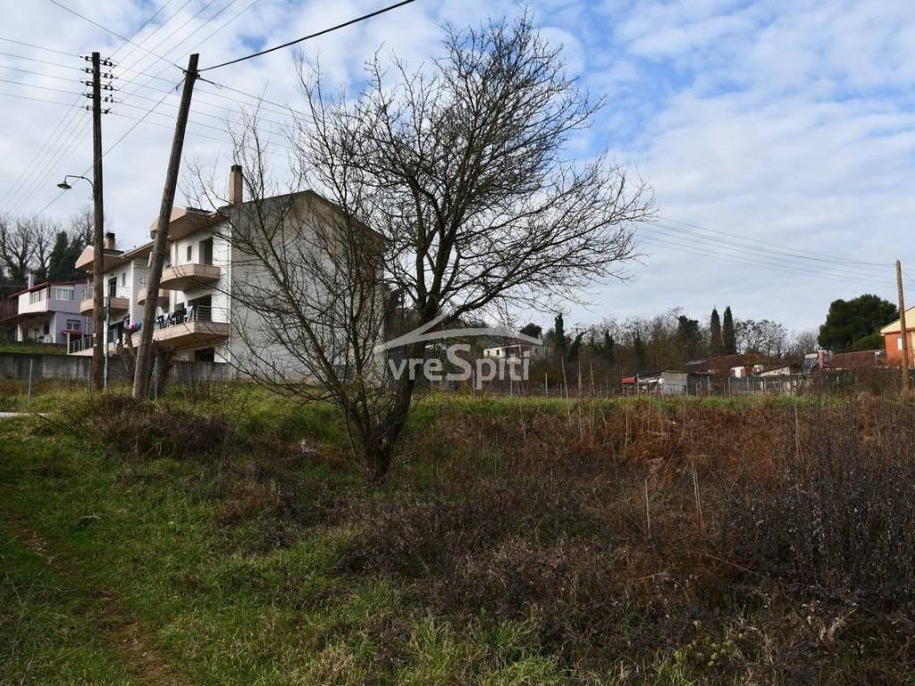 ΑΠΟΨΗ ΟΙΚΟΠΕΔΟΥ