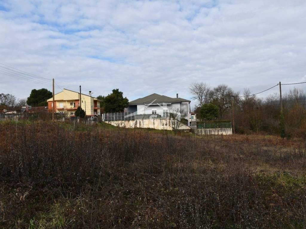 ΑΠΟΨΗ ΟΙΚΟΠΕΔΟΥ