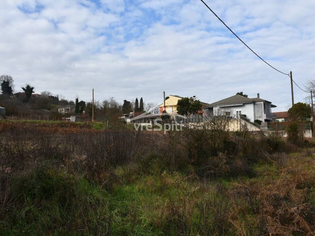 ΑΠΟΨΗ ΟΙΚΟΠΕΔΟΥ