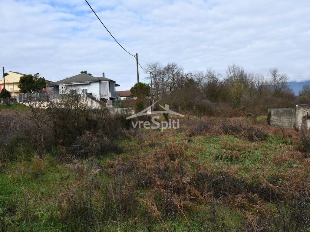 ΑΠΟΨΗ ΟΙΚΟΠΕΔΟΥ