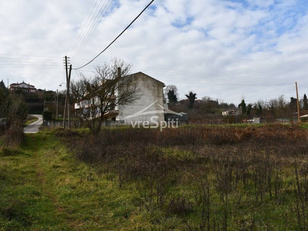 ΑΠΟΨΗ ΟΙΚΟΠΕΔΟΥ