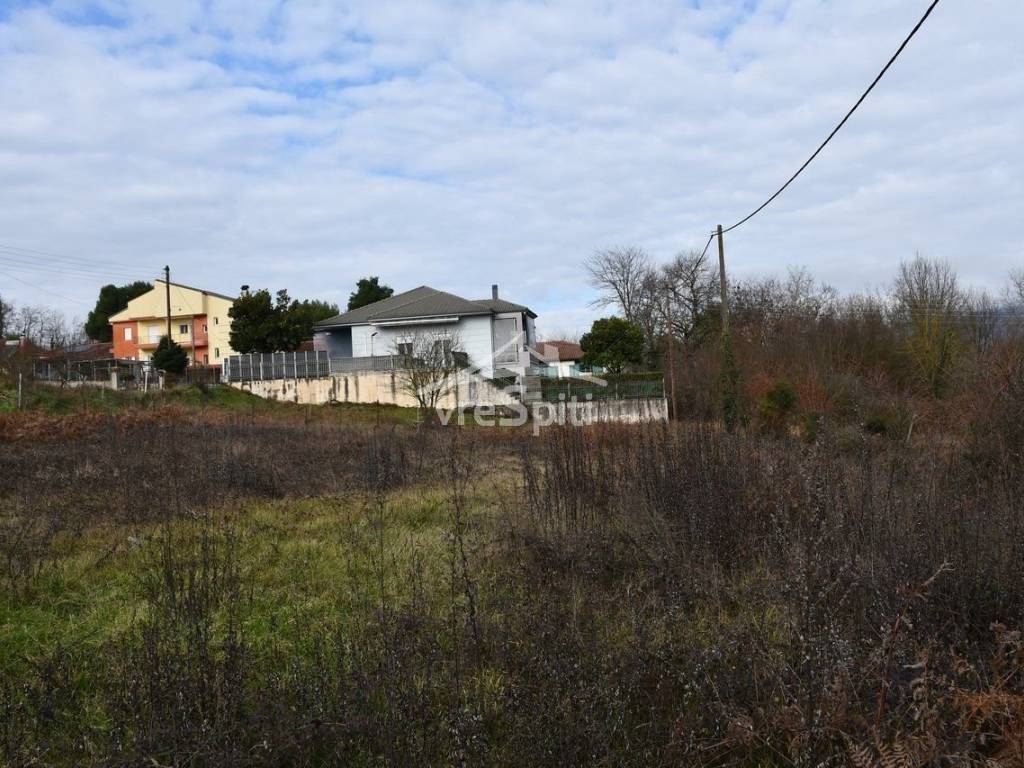 ΑΠΟΨΗ ΟΙΚΟΠΕΔΟΥ