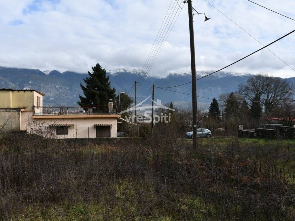 ΑΠΟΨΗ ΟΙΚΟΠΕΔΟΥ