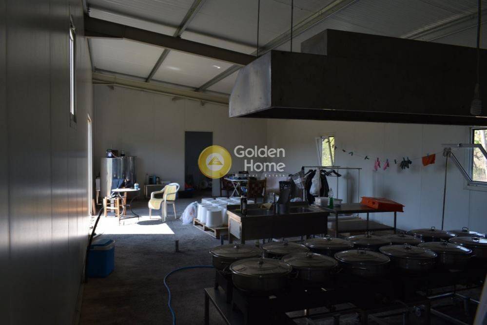 Κυρίως Χώρος