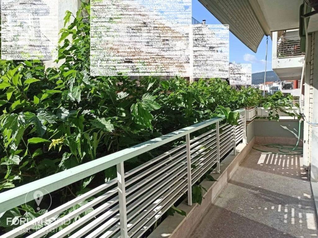 Forumland Real Estate, Βεράντες