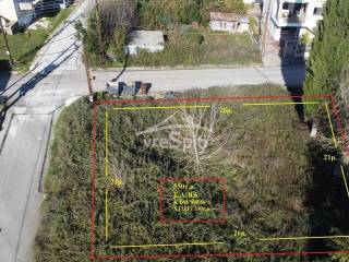 ΣΧΗΜΑ ΟΙΚΟΠΕΔΟΥ