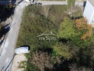 ΑΠΟΨΗ ΟΙΚΟΠΕΔΟΥ