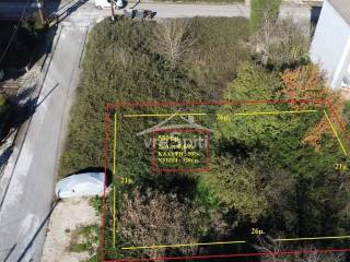 ΣΧΗΜΑ ΟΙΚΟΠΕΔΟΥ