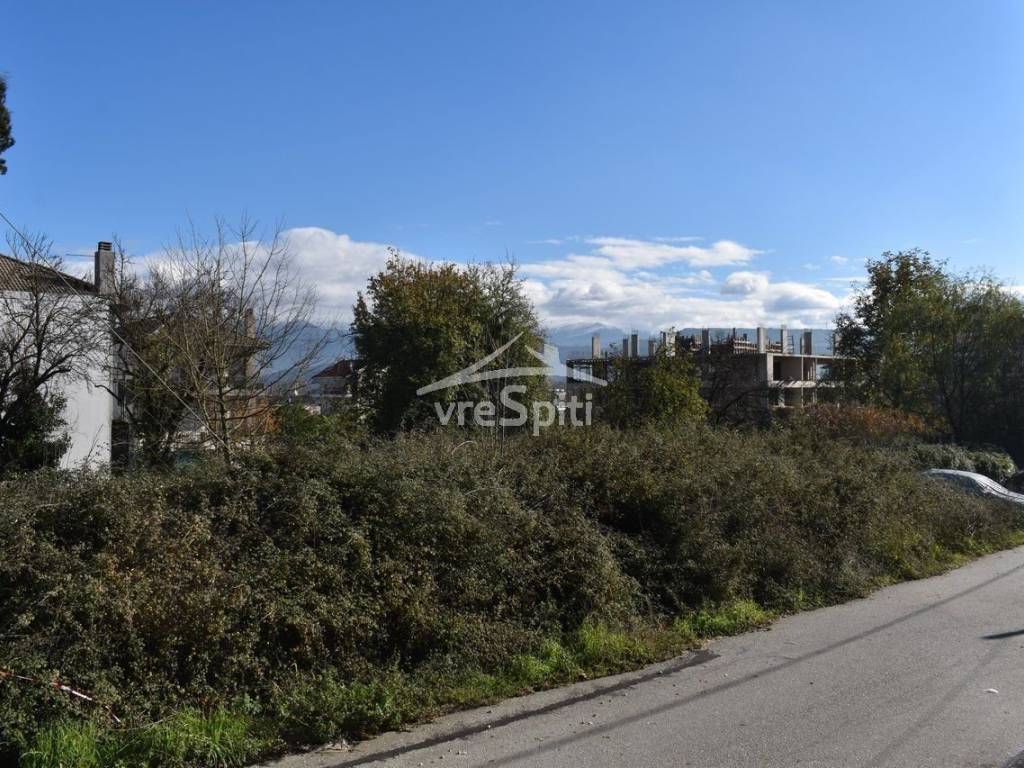 ΑΠΟΨΗ ΟΙΚΟΠΕΔΟΥ