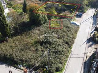 ΣΧΗΜΑ ΟΙΚΟΠΕΔΟΥ