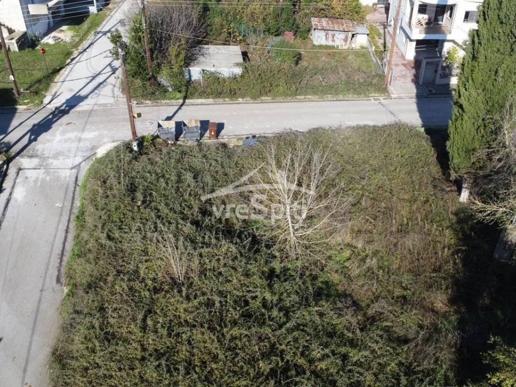 ΑΠΟΨΗ ΟΙΚΟΠΕΔΟΥ