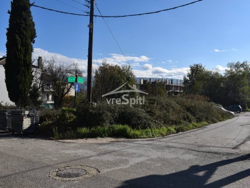 ΑΠΟΨΗ ΟΙΚΟΠΕΔΟΥ