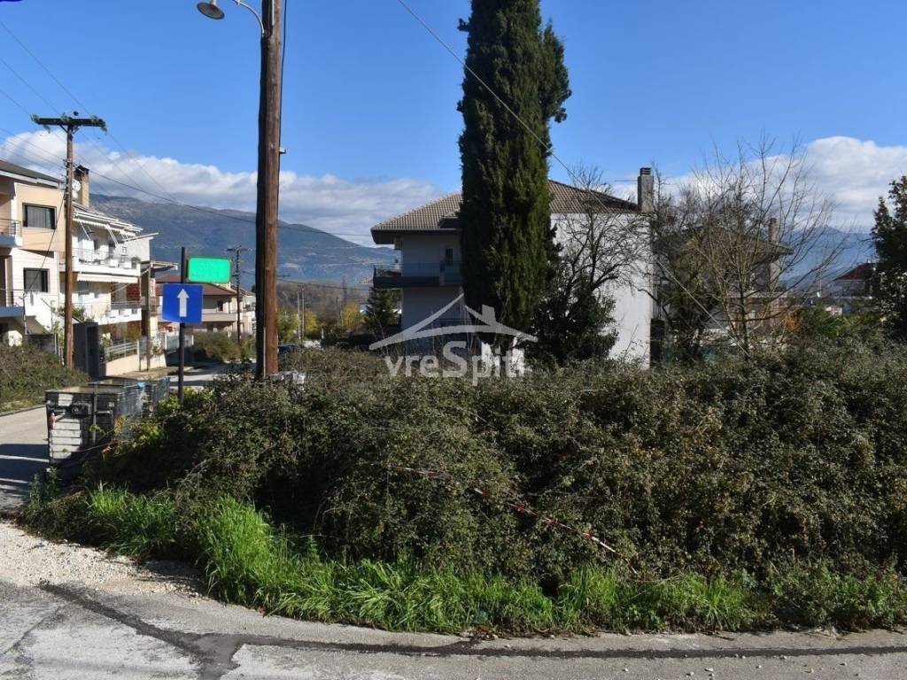 ΑΠΟΨΗ ΟΙΚΟΠΕΔΟΥ