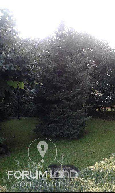 Forumland Real Estate, Κήπος