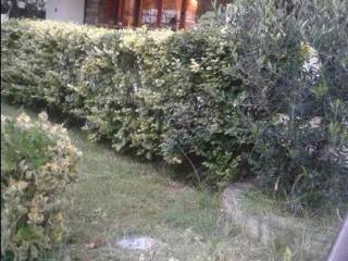 Forumland Real Estate, Κήπος