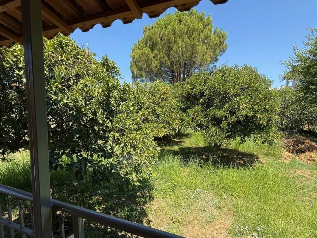 Θέα από μπαλκόνι