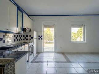 [AI-Enhanced Image] [AI-Enhanced Image]