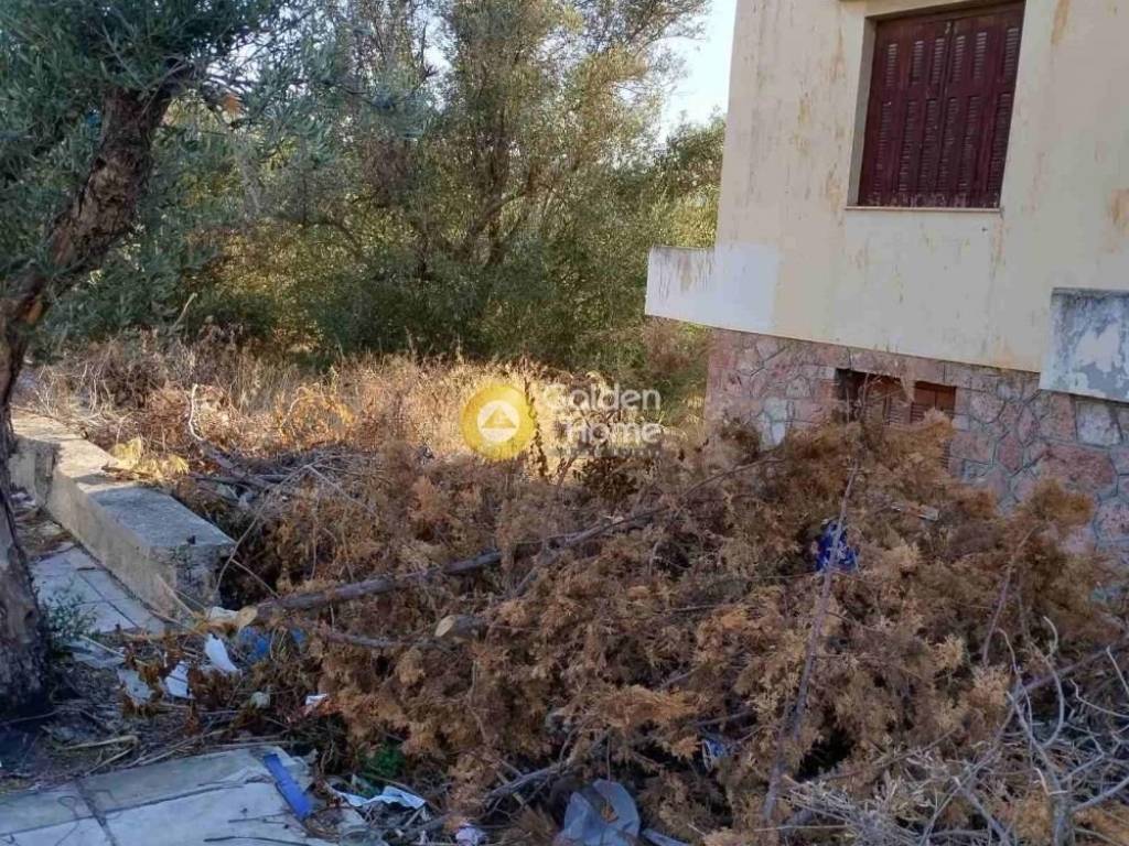 Εξωτερικός Χώρος