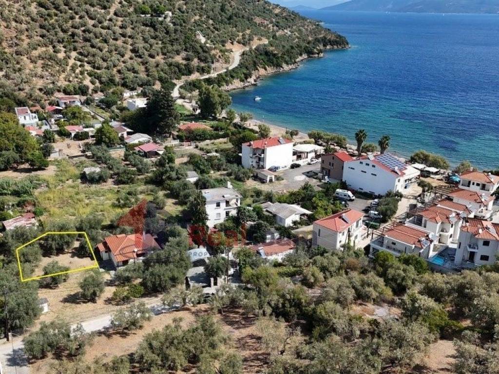 Εξωτερικοι χώροι