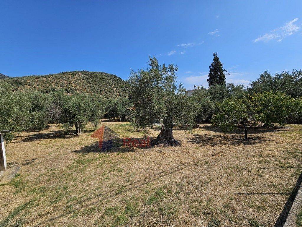 Εξωτερικοι χώροι