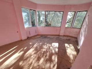 Villa - Grekodom 65270|1043852